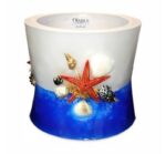 Anadara Brazilian - 4 pcs. - Image 2
