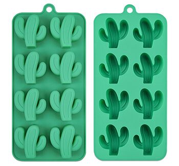 silicone cactus mould