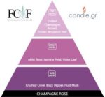 Champagne Rose