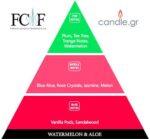 Watermelon & Aloe