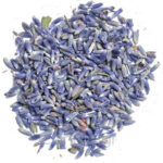 ανθη λεβαντας αποξηραμένα