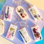 ιβισκος αποξηραμενος