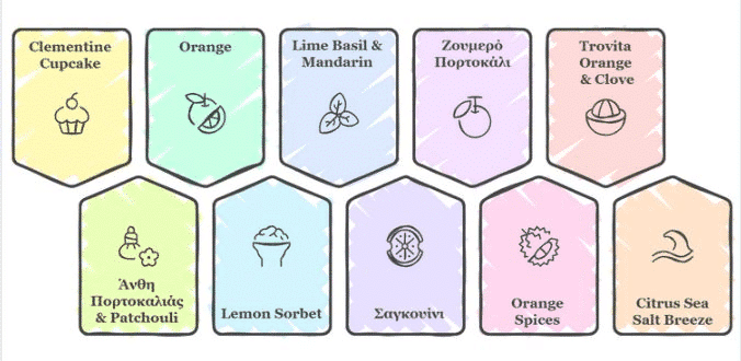 Citrus Revival - visual selection2