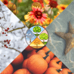 Seasonal