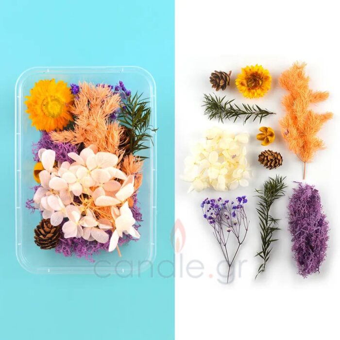 dried-flowers-decorative2
