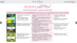 scent·ualEffex™ ingredient chart