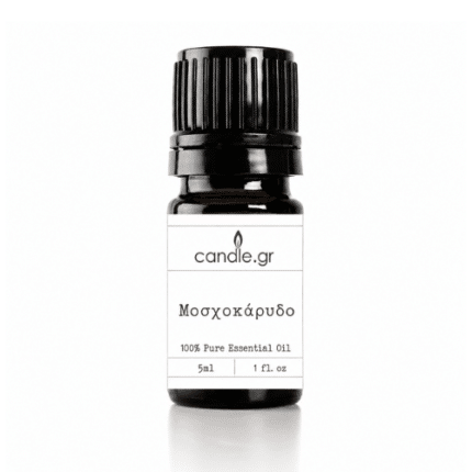 Nutmeg Essential Oil