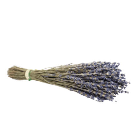 Βιολογική Λεβάντα σε ματσάκι - 36gr