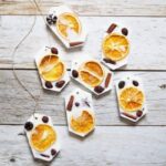 πορτοκαλι σε ροδελες ααποξηραμένο